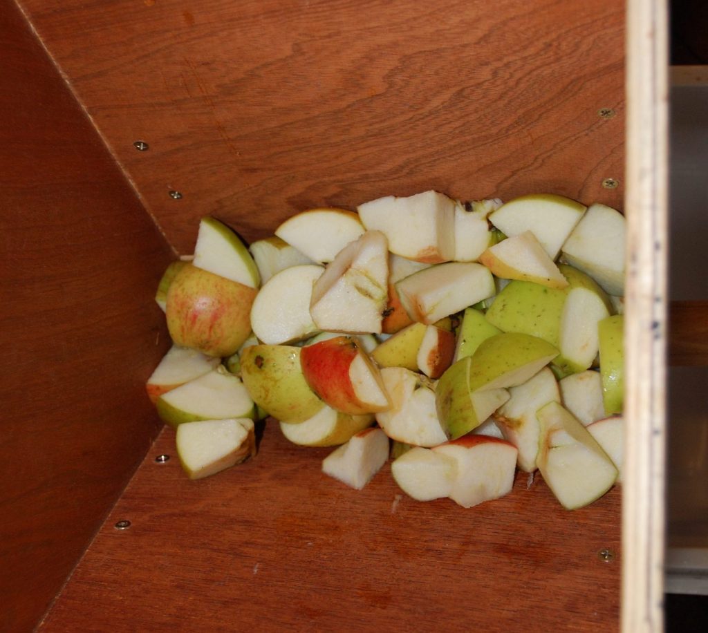 Roughly chopped apples in the scratter hopper.