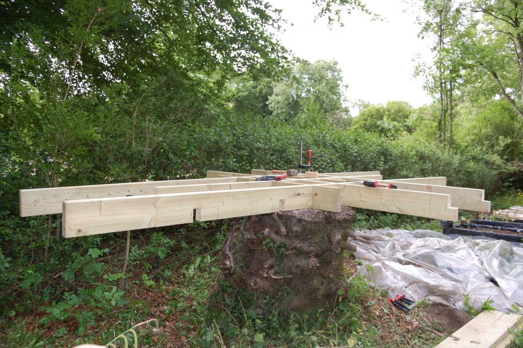 Partially complete frame on the stump.