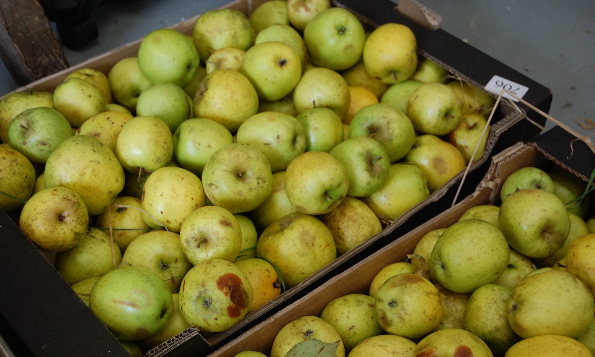 A few boxes of apples that need teh good sorting from the bad