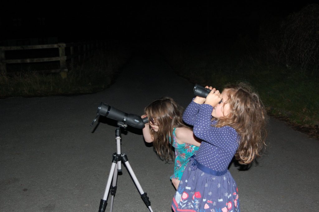 Two monsters looking into the night sky.