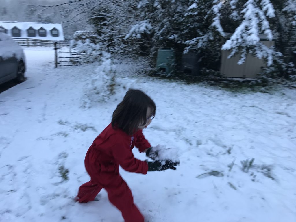 Small monkey in red overalls playing in the snow.