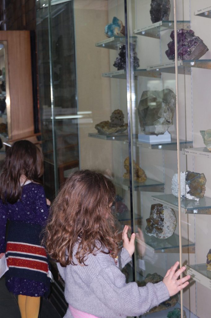 My monsters looking in a cabinet of minerals