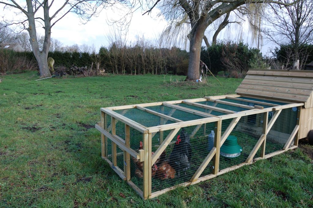 A mobile hen house with an attached run with chickens.