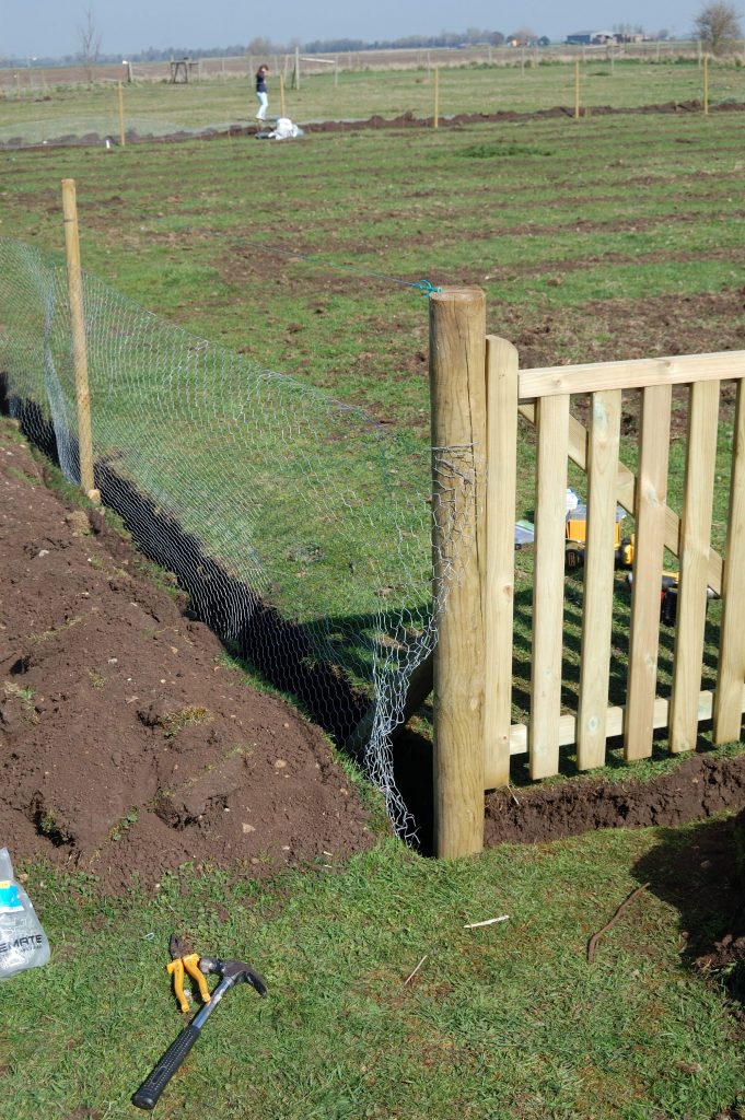 A series of posts with chicken wire attached.